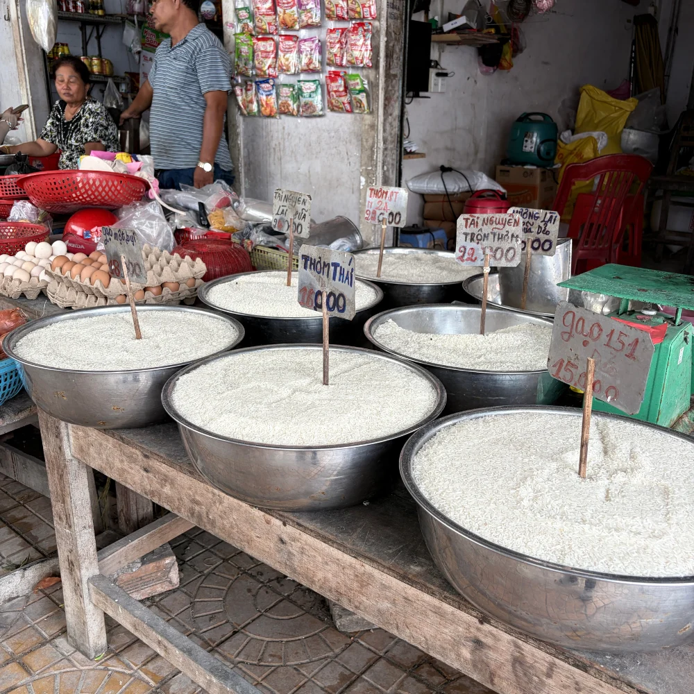 Tap-hoa-Co-Hinh_364.3.webp